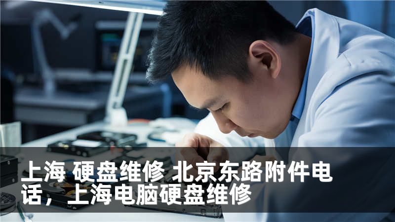 上海 硬盘维修 北京东路附件电话，上海电脑硬盘维修