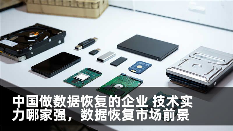 中国做数据恢复的企业 技术实力哪家强，数据恢复市场前景