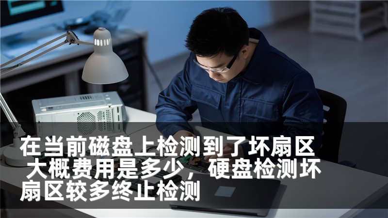 在当前磁盘上检测到了坏扇区 大概费用是多少,硬盘检测坏扇区较多终止检测