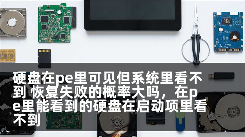 硬盘在pe里可见但系统里看不到 恢复失败的概率大吗,在pe里能看到的硬盘在启动项里看不到