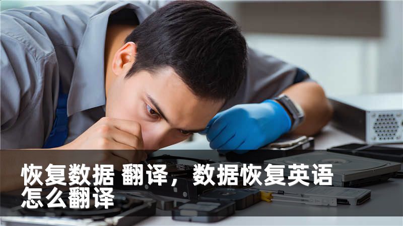 恢复数据 翻译,数据恢复英语怎么翻译