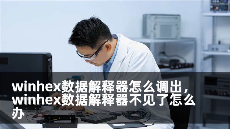 winhex数据解释器怎么调出,winhex数据解释器不见了怎么办