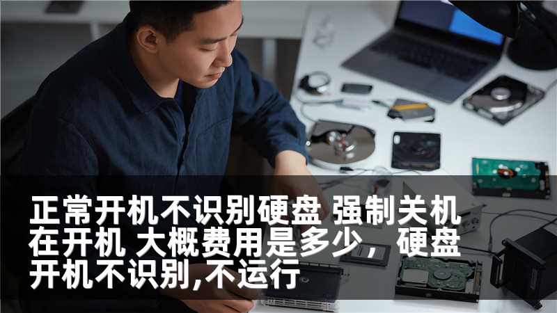 正常开机不识别硬盘 强制关机在开机 大概费用是多少，硬盘开机不识别,不运行