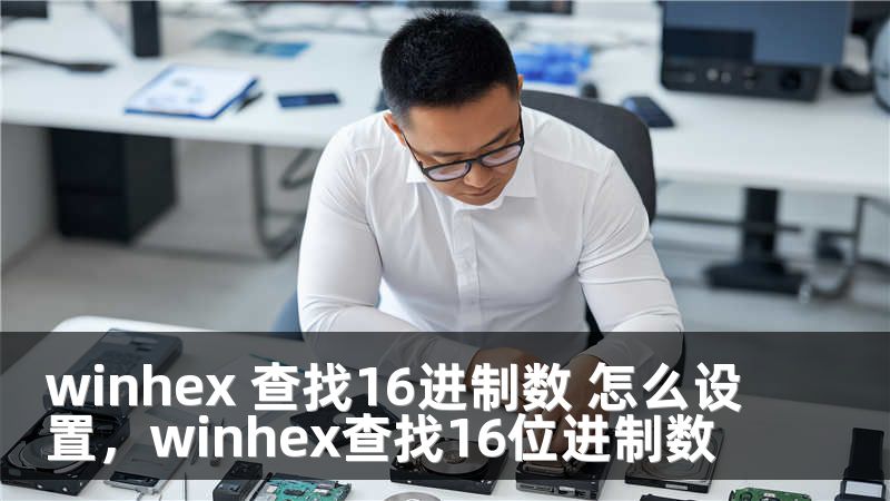winhex 查找16进制数 怎么设置，winhex查找16位进制数