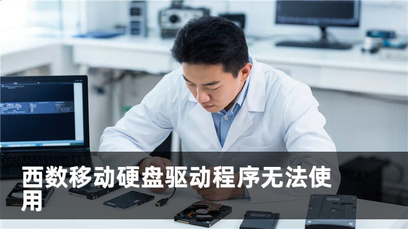 西数移动硬盘驱动程序无法使用