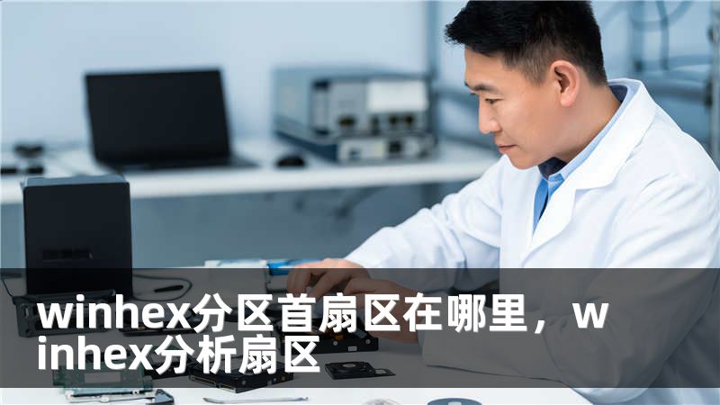 winhex分区首扇区在哪里,winhex分析扇区