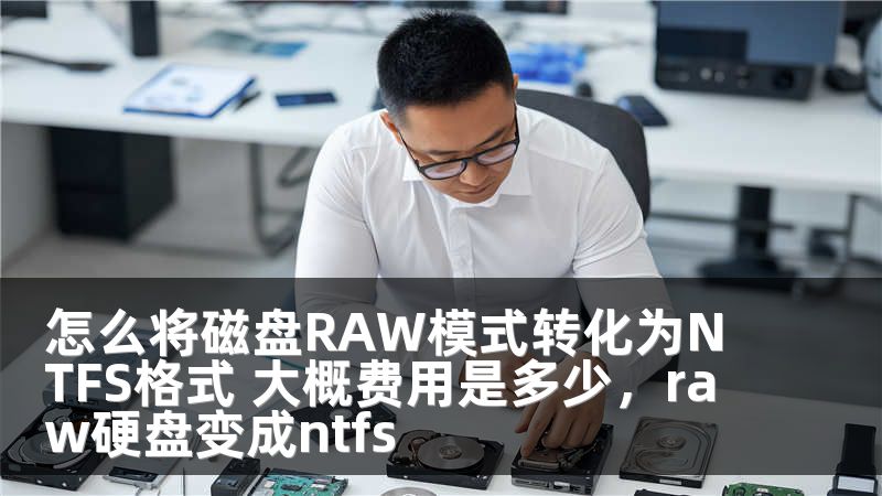 怎么将磁盘RAW模式转化为NTFS格式 大概费用是多少,raw硬盘变成ntfs