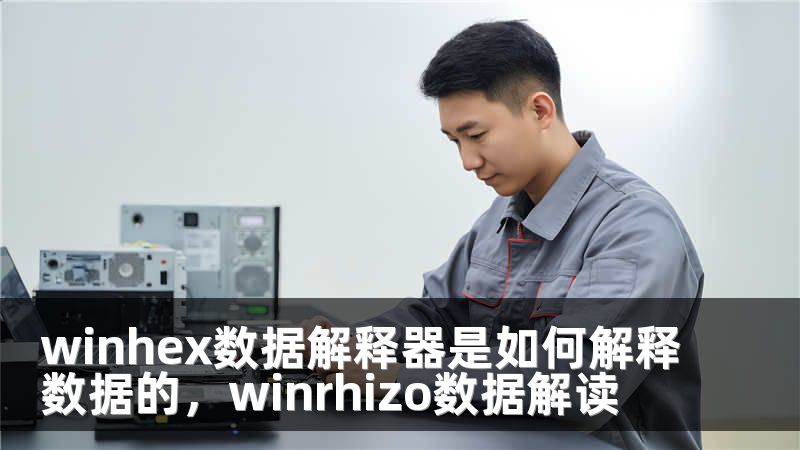 winhex数据解释器是如何解释数据的,winrhizo数据解读