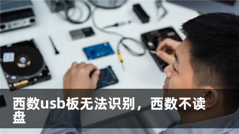 西数usb板无法识别,西数不读盘