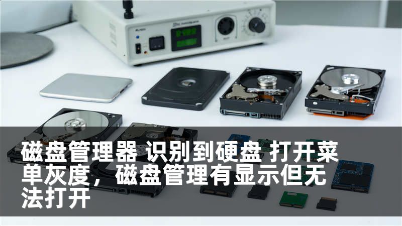 磁盘管理器 识别到硬盘 打开菜单灰度,磁盘管理有显示但无法打开
