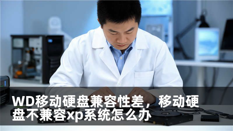 WD移动硬盘兼容性差，移动硬盘不兼容xp系统怎么办