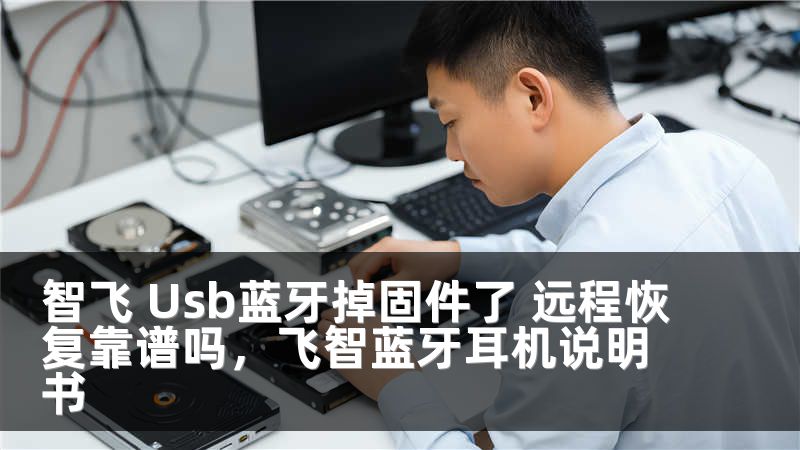智飞 Usb蓝牙掉固件了 远程恢复靠谱吗，飞智蓝牙耳机说明书