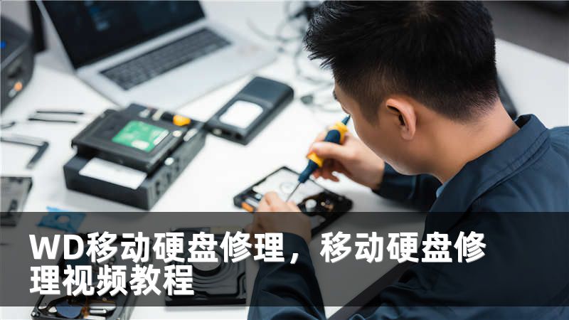 WD移动硬盘修理,移动硬盘修理视频教程