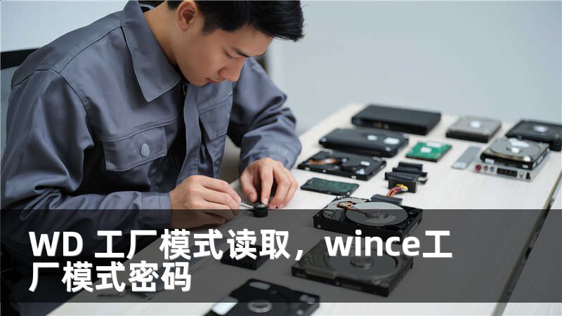 WD 工厂模式读取，wince工厂模式密码