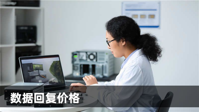 数据回复价格