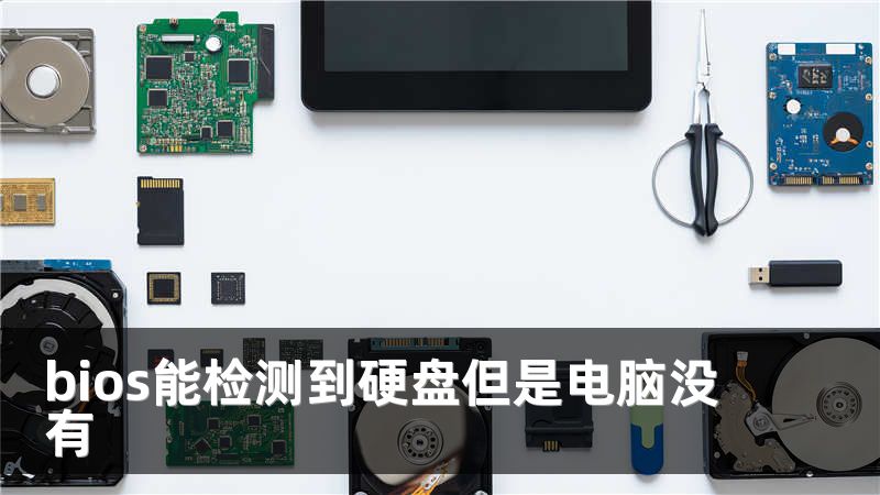 bios能检测到硬盘但是电脑没有