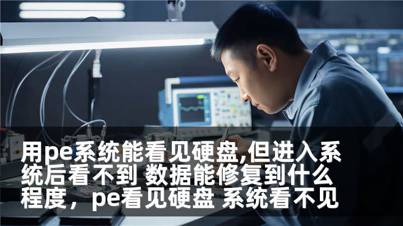 用pe系统能看见硬盘,但进入系统后看不到 数据能修复到什么程度,pe看见硬盘 系统看不见