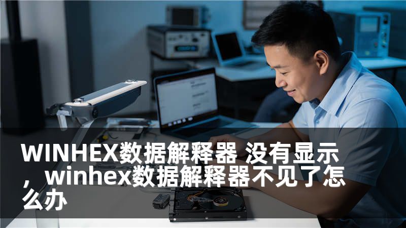 WINHEX数据解释器 没有显示，winhex数据解释器不见了怎么办