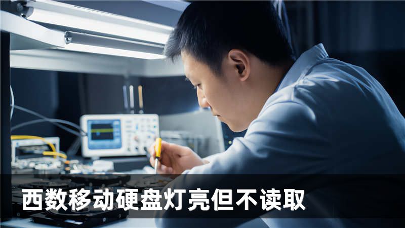 西数移动硬盘灯亮但不读取