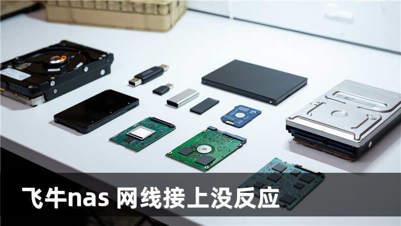 飞牛nas 网线接上没反应