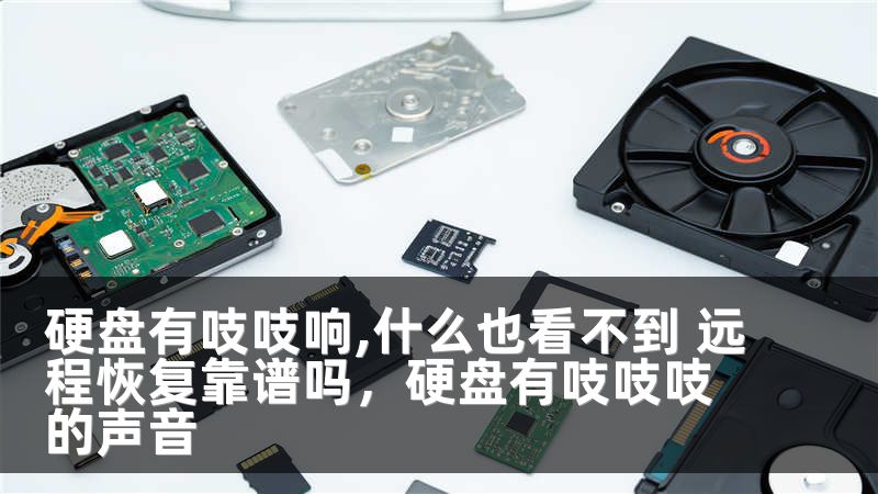硬盘有吱吱响,什么也看不到 远程恢复靠谱吗，硬盘有吱吱吱的声音
