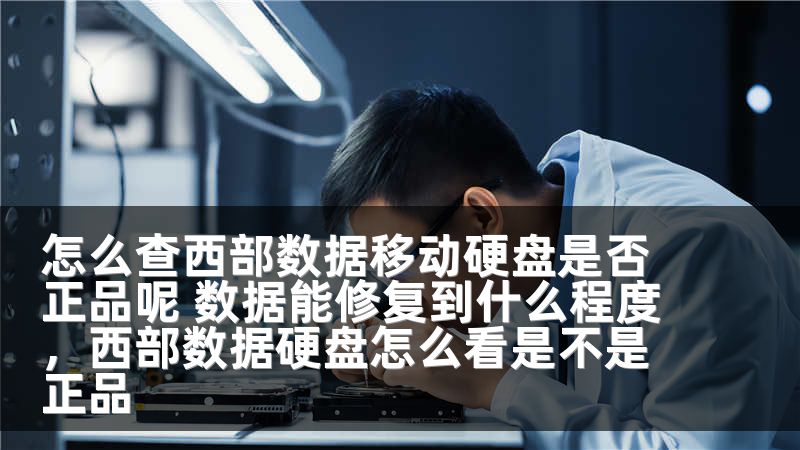 怎么查西部数据移动硬盘是否正品呢 数据能修复到什么程度,西部数据硬盘怎么看是不是正品