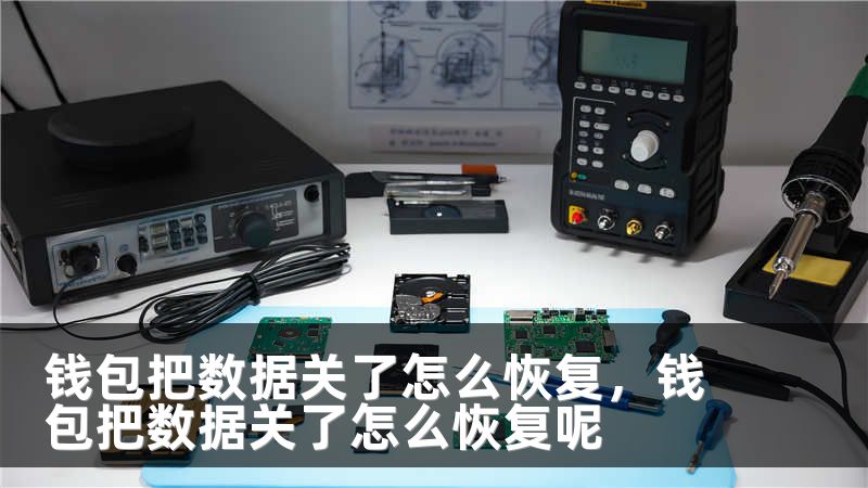 钱包把数据关了怎么恢复，钱包把数据关了怎么恢复呢