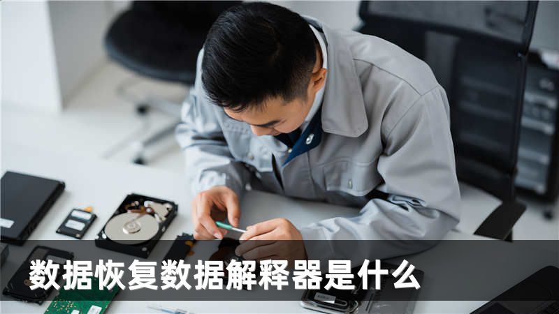 数据恢复数据解释器是什么