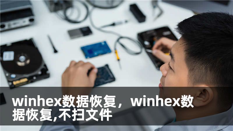 winhex数据恢复，winhex数据恢复,不扫文件