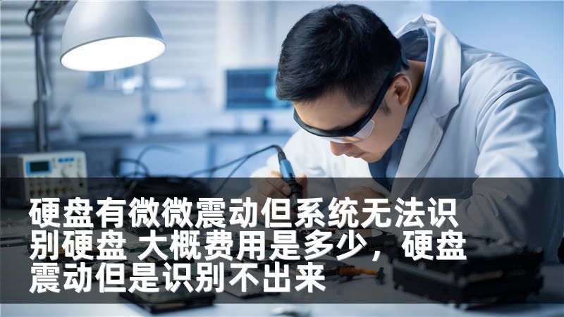 硬盘有微微震动但系统无法识别硬盘 大概费用是多少,硬盘震动但是识别不出来