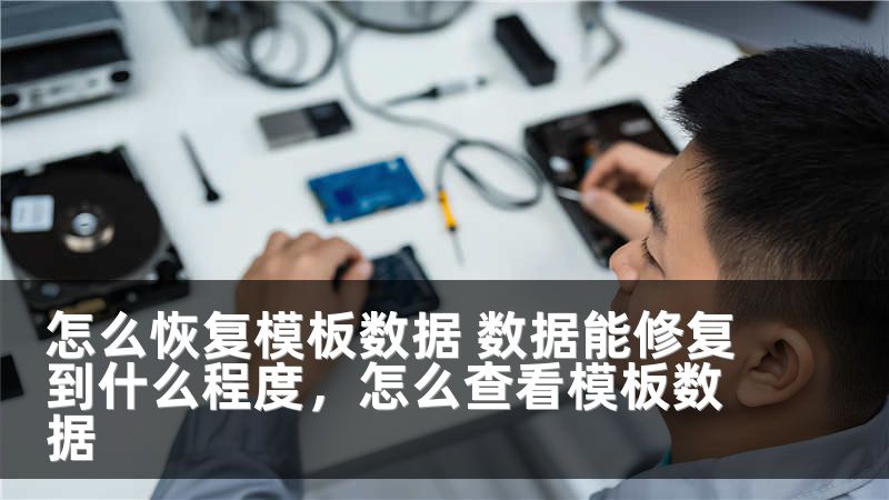 怎么恢复模板数据 数据能修复到什么程度,怎么查看模板数据
