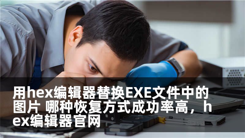 用hex编辑器替换EXE文件中的图片 哪种恢复方式成功率高,hex编辑器官网