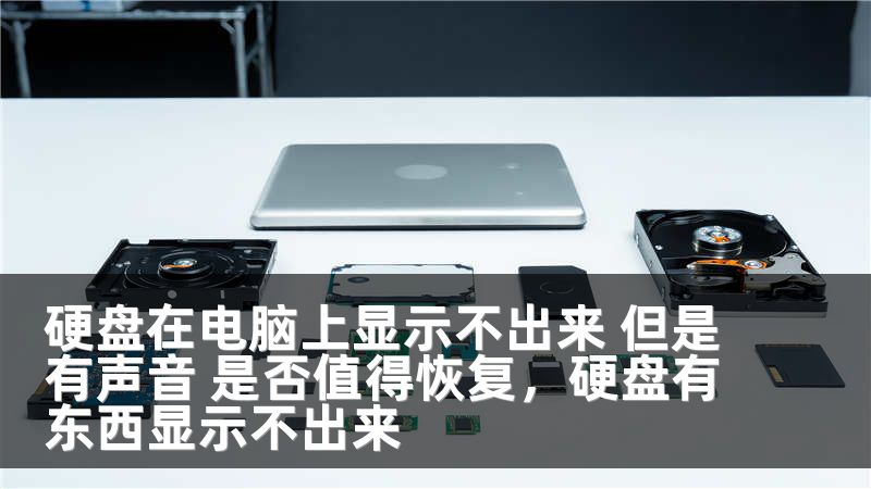 硬盘在电脑上显示不出来 但是有声音 是否值得恢复,硬盘有东西显示不出来