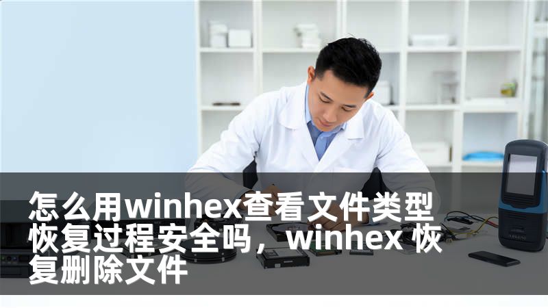 怎么用winhex查看文件类型 恢复过程安全吗，winhex 恢复删除文件