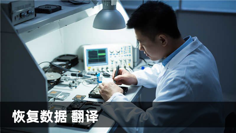恢复数据 翻译