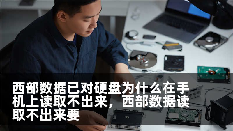 西部数据已对硬盘为什么在手机上读取不出来，西部数据读取不出来要