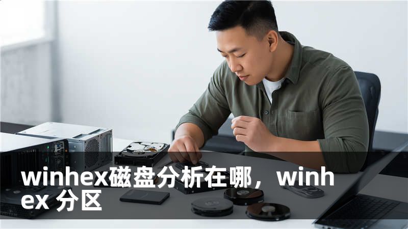 winhex磁盘分析在哪，winhex 分区