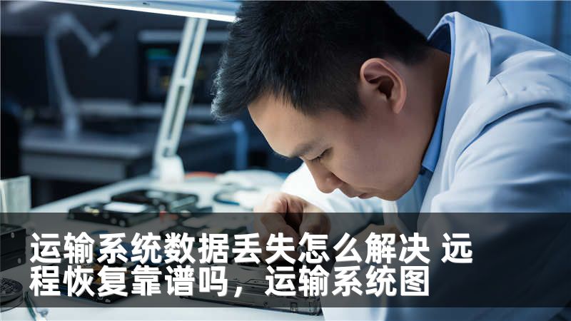 运输系统数据丢失怎么解决 远程恢复靠谱吗,运输系统图