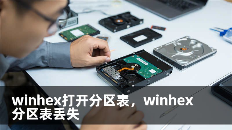 winhex打开分区表，winhex分区表丢失