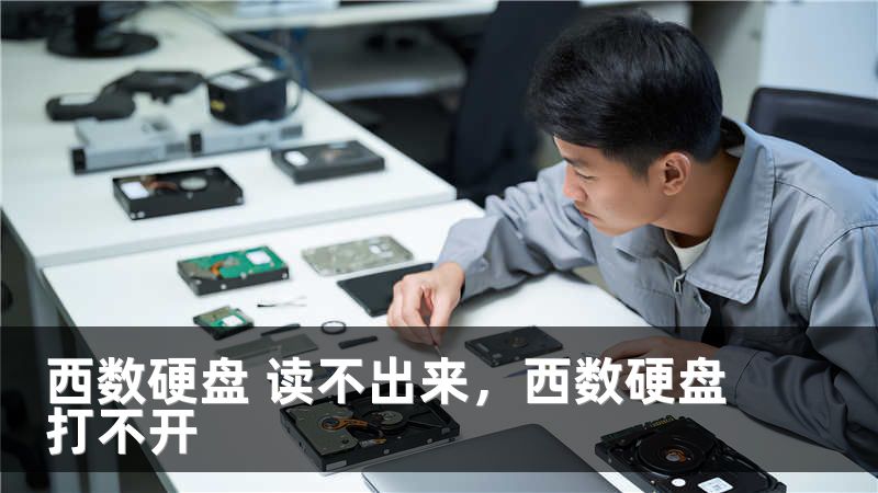 西数硬盘 读不出来,西数硬盘打不开