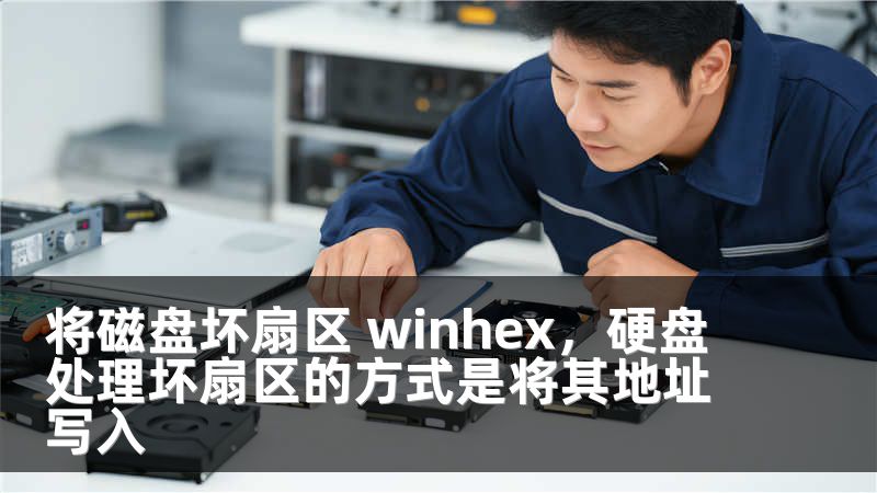 将磁盘坏扇区 winhex,硬盘处理坏扇区的方式是将其地址写入