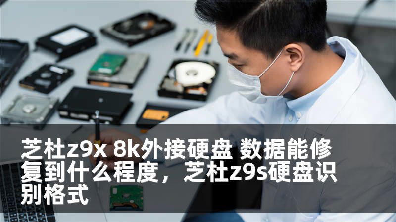 芝杜z9x 8k外接硬盘 数据能修复到什么程度,芝杜z9s硬盘识别格式
