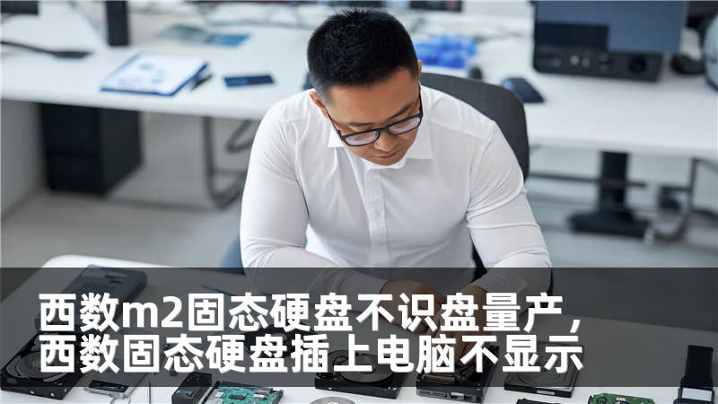 西数m2固态硬盘不识盘量产，西数固态硬盘插上电脑不显示