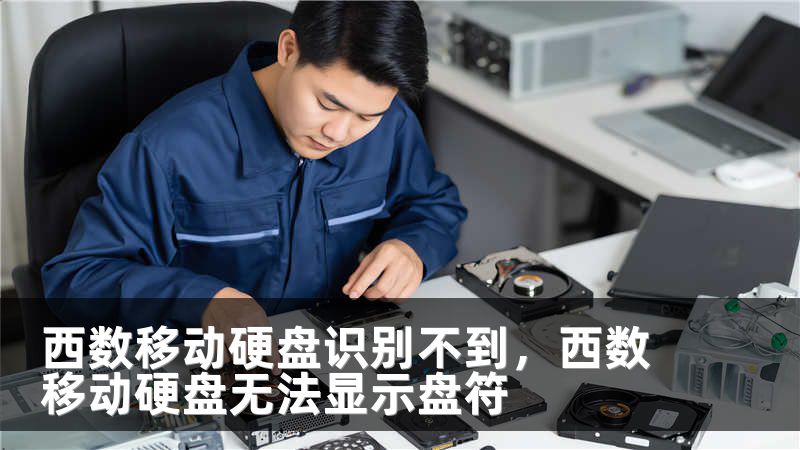 西数移动硬盘识别不到，西数移动硬盘无法显示盘符