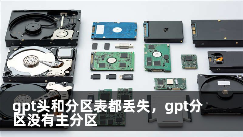 gpt头和分区表都丢失，gpt分区没有主分区