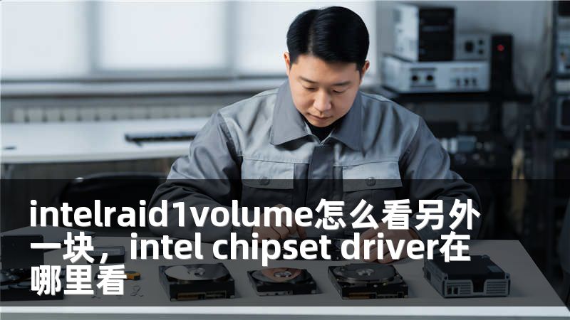 intelraid1volume怎么看另外一块，intel chipset driver在哪里看
