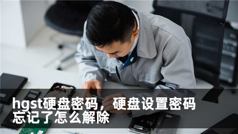 hgst硬盘密码，硬盘设置密码忘记了怎么解除