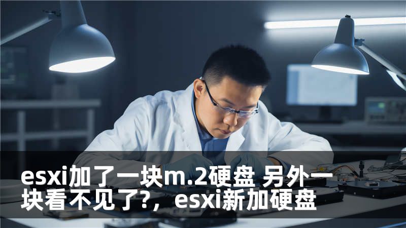 esxi加了一块m.2硬盘 另外一块看不见了?，esxi新加硬盘