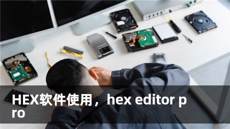 HEX软件使用，hex editor pro