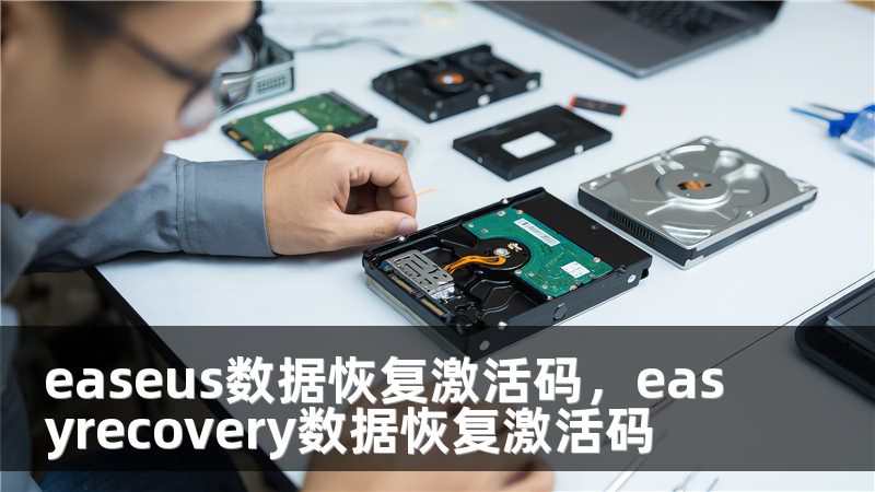 easeus数据恢复激活码，easyrecovery数据恢复激活码